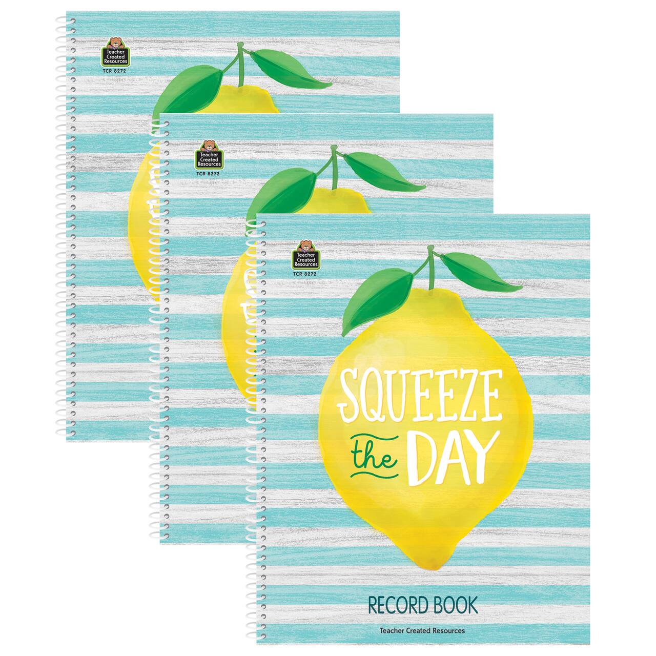 Teacher Created Resources Lemon Zest Record Book, 3ct.